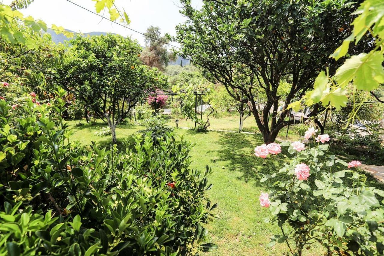 Garden House Kastellani Konuk evi Kastellanoi  Dış mekan fotoğraf